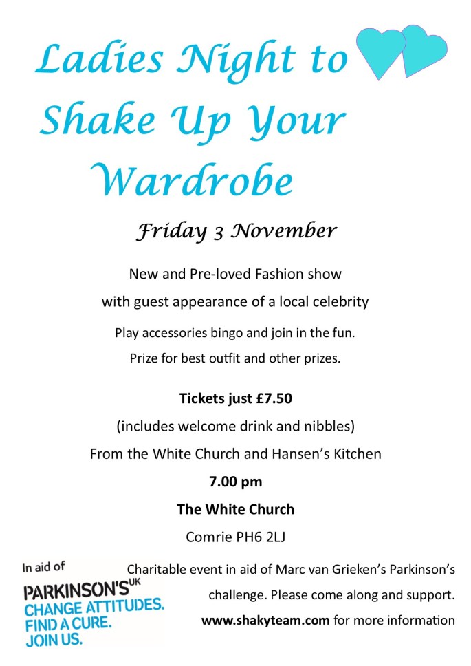 fashion show 2017 poster.pub